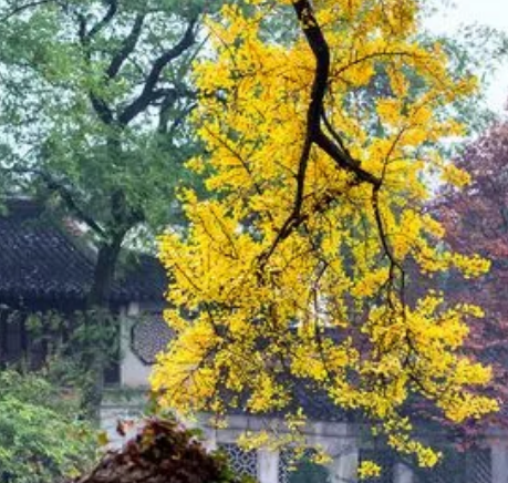 9潤東1.jpg 9潤東1.jpg